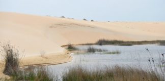 A duna móbil de Corrubedo é a icona do parque. Foto: Turismo de Galicia.