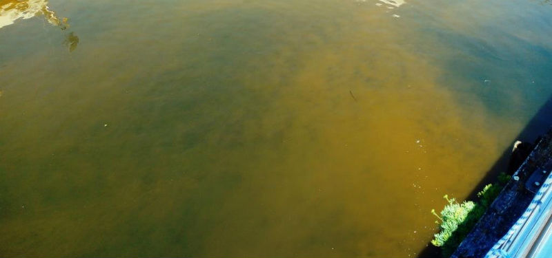 Cor marrón na auga, o pasado 4 de xullo, na zona da dársena deportiva de Vigo. Foto: Francisco Rodríguez.