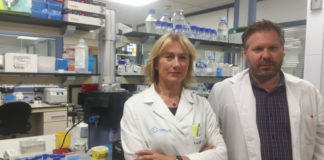 Isabel Lema e Tomás Sobrino, coordinadores da investigación. Foto: IDIS.