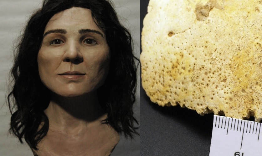 Aproximación facial de Elba y restos de su cráneo. Foto: Cadernos do Laboratorio Xeolóxico de Laxe.