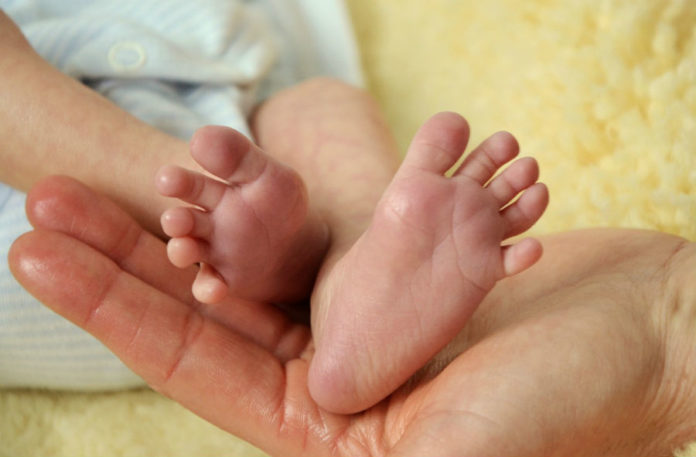A presenza da nai reduce os niveis de angustia e estrés nos bebés.