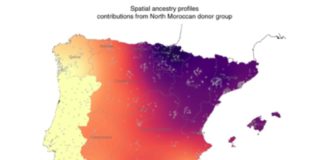 Contribución do grupo africano (Marrocos) na ascendencia xenética das rexións de España. Fonte: Nature Communications.