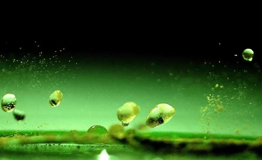 Captura do vídeo tomado polos investigadores, no que se ve como unha pinga expande as esporas. Fonte: PNAS.