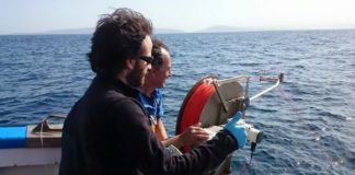 Víctor Moreira, primeiro autor do artigo, a bordo do BIO Lura do Instituto Español de Oceanografía durante unha das saídas do proxecto Nicanor na parte externa da ría da Coruña. Foto: Duvi.