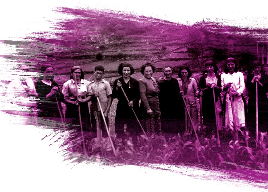 Do gris ao violeta recolle xa máis de 200 biografías de mulleres de Pontevedra. Fonte: dogrisaovioleta.gal. 