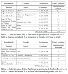 Táboa do censo de escribenta das canaveiras. Fonte: Braña.