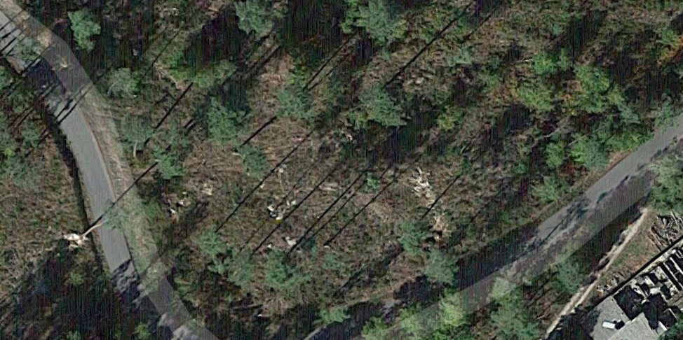 Vista aérea da zona do Irixo onde o patrimonio megalítico resultou destruído nuns traballos forestais. Fonte: Google Maps.
