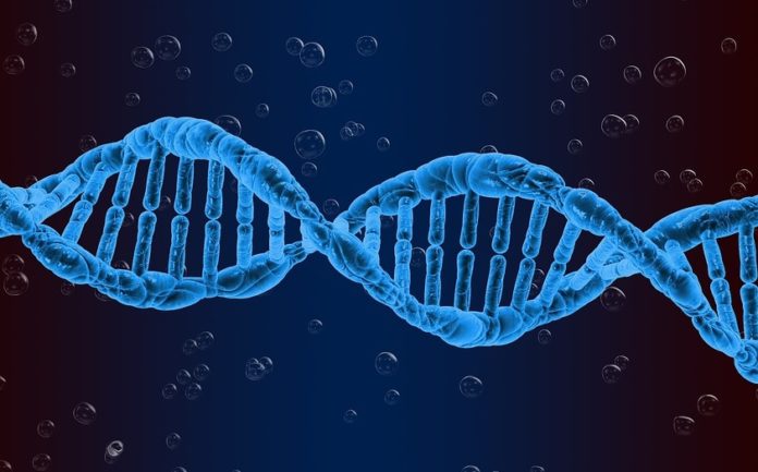 O vínculo entre o lupus e as mutacións xenéticas podería axudar no tratamento da doenza.