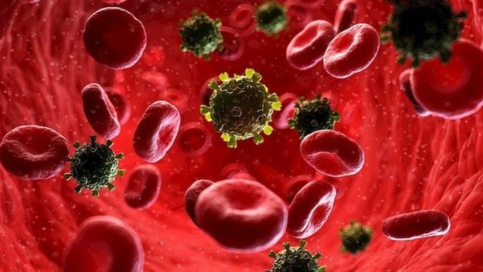 Ilustración sobre o virus da SIDA no torrente sanguíneo.