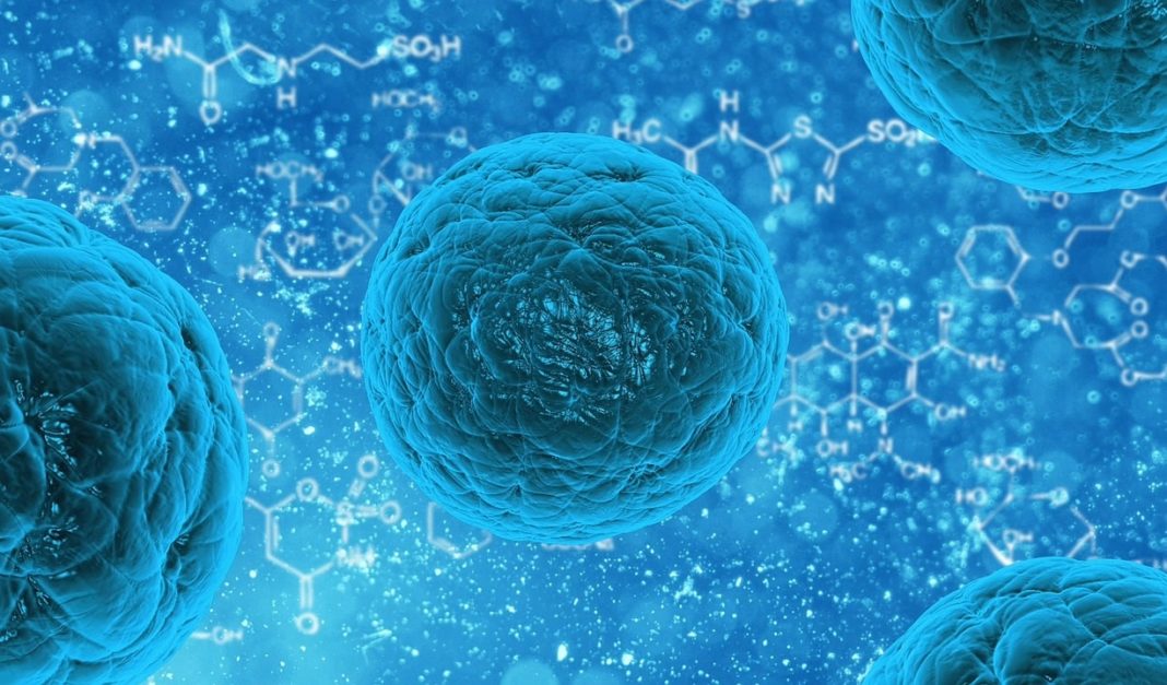 A OMS apunta que o crecemento das doenzas infecciosas no mundo pode desencadear unha pandemia. 