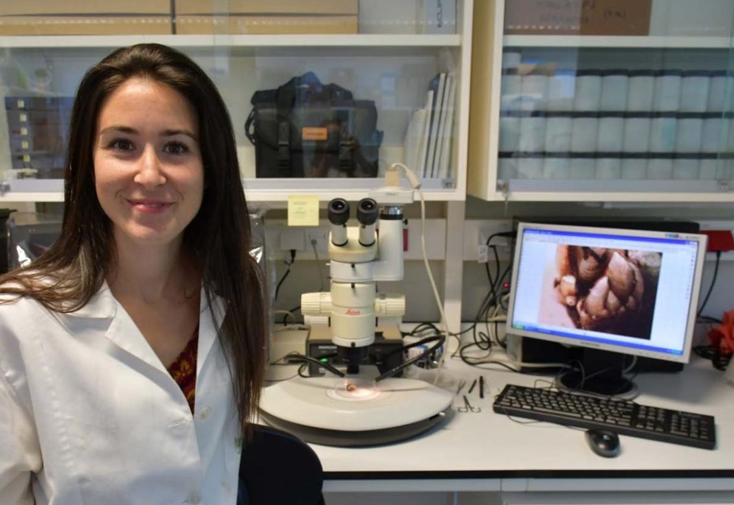 Alba Aguion realiza o seu doutoramento no Future Oceans Lab da Universidade de Vigo. Foto: Duvi.