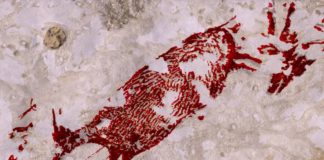 Silueta retocada dixitalmente dun dos animais retratados na pintura rupestre atopada nas Célebes. Fonte: Griffith University.