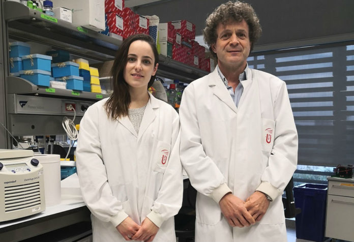 Alejandra Escudero-Lara e Rafael Maldonado, autores do estudo que analiza o impacto do cannabis na endometriose. Fonte: UPF.