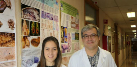 Paula Rodríguez Villamayor e Pablo Sánchez Quinteiro, autores do estudo sobre os coellos na Facultade de Veterinaria. Foto: USC.