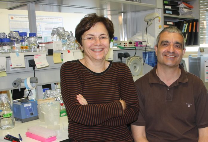 Mercedes Dosil lidera o estudo sobre os ribosomas no que colaborou Xosé Bustelo. Foto: DICYT.
