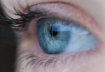 O método analiza os niveis de hipoxantina, potasio ou urea no humor vítreo dos ollos.