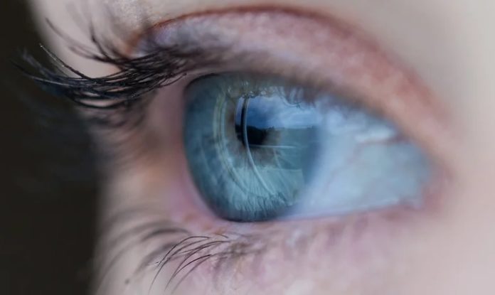 O glaucoma é a primeira causa de cegueira irreversible no mundo.