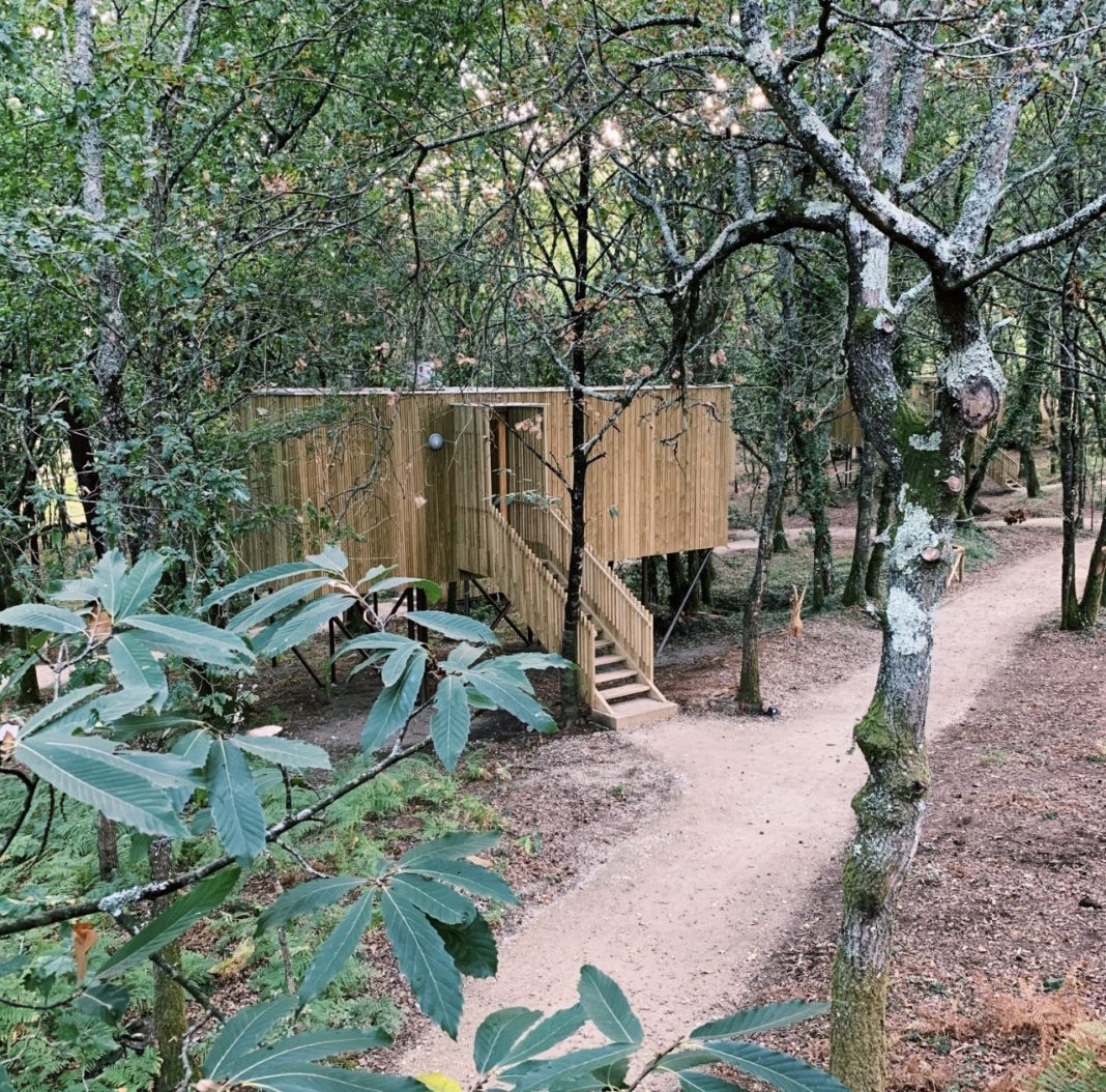 As cabanas de Enoturismo María Manuela en Boqueixón