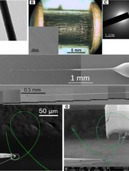 Micrografías dos filamentos producidos con Cofiblas. Foto: Duvi.
