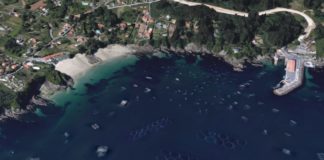 Os criadeiros dos ollomois, estruturas circulares que se ven na imaxe, fronte á costa de Lorbé (Oleiros). Foto: Google Maps.