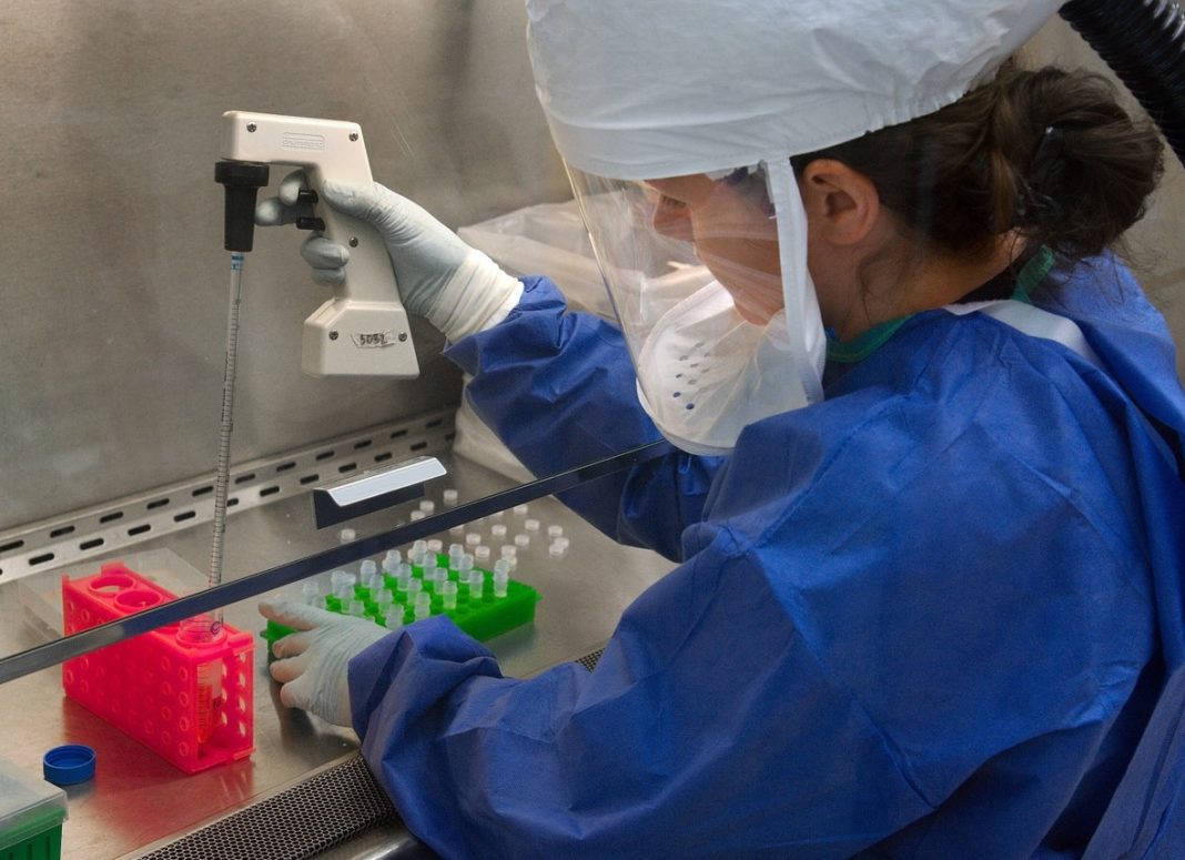 As probas rápidas enviadas polo Goberno español detectan anticorpos fronte ao virus cando a persoa desenvolve a resposta inmune.