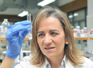 María José Alonso é catedrática de Farmacoloxía na USC. Foto: CiMUS.