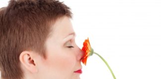 O olfacto é un sentido que configura boa parte dos nosos recordos.