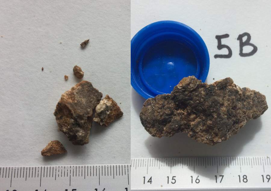 Mostras de granito tomadas en áreas de carballos (esquerda) e de eucaliptos e piñeiros (dereita). Imaxe cedida por Iago Pozo.