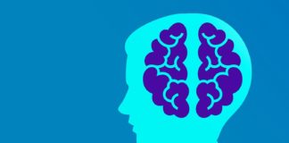 A autora expón que hai evidencias científicas que demostran que os conceptos “cerebro masculino” e “cerebro feminino” son moi discutibles.
