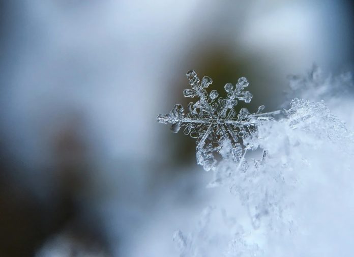 As folerpas de neve adoitan tomar formas hexagonais. Fonte: Pixabay.