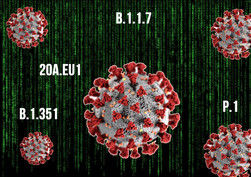 Un maior número de infeccións incrementa o risco de que emerxan novas variantes do SARS-CoV-2. 
