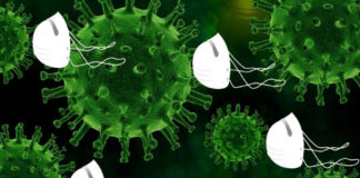 A gripe e o SARS-CoV-2 son dous virus distintos e iso inflúe nas diferenzas observadas nos últimos meses. Imaxe: Pixabay.