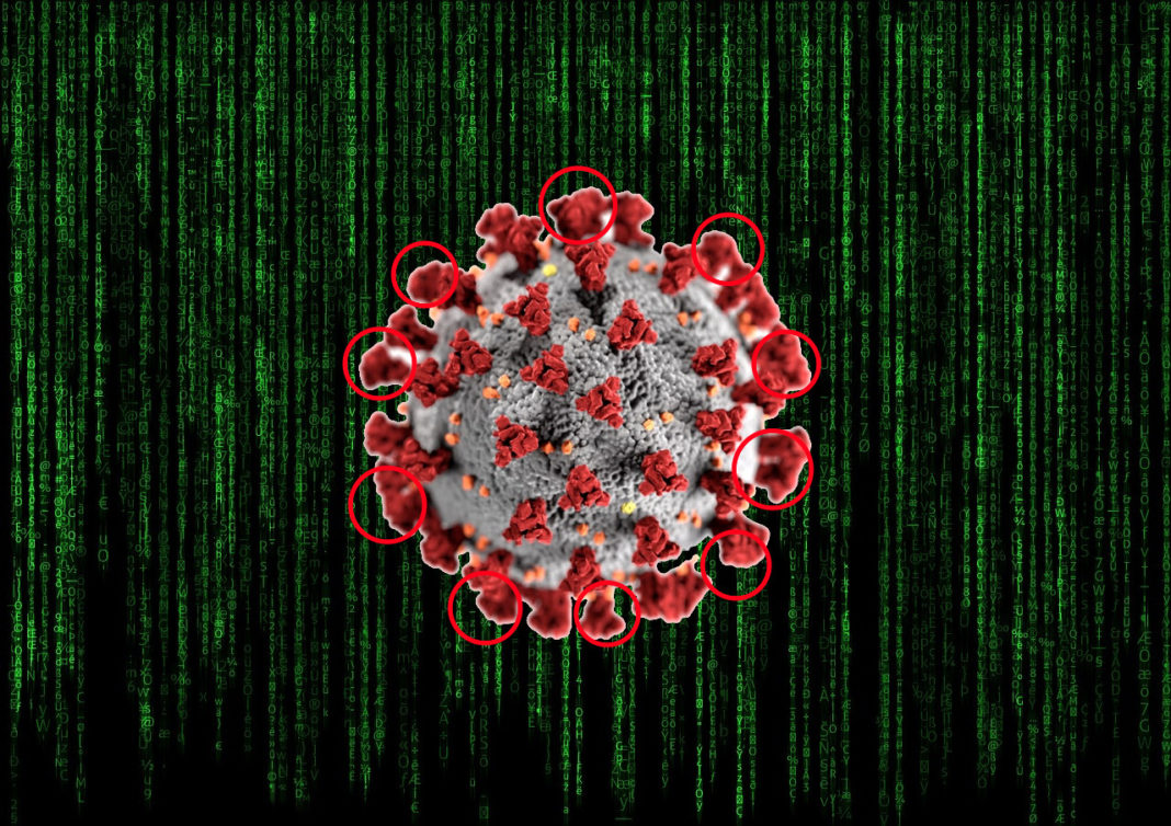 A detección dunha cepa concreta no coronavirus require dun esforzo técnico maior ca das probas PCR. 