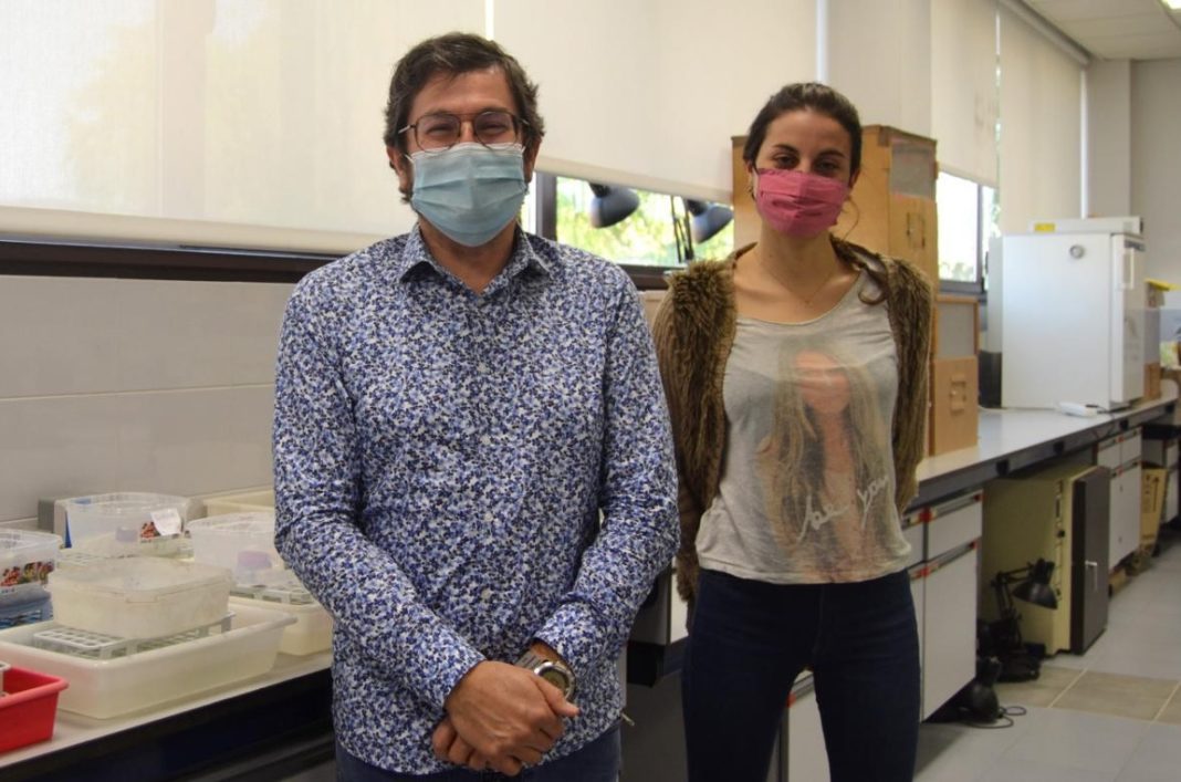 Os investigadores da UVigo Adolfo Cordero e Anais RIvas son dous dos autores do artigo. Foto: Duvi.