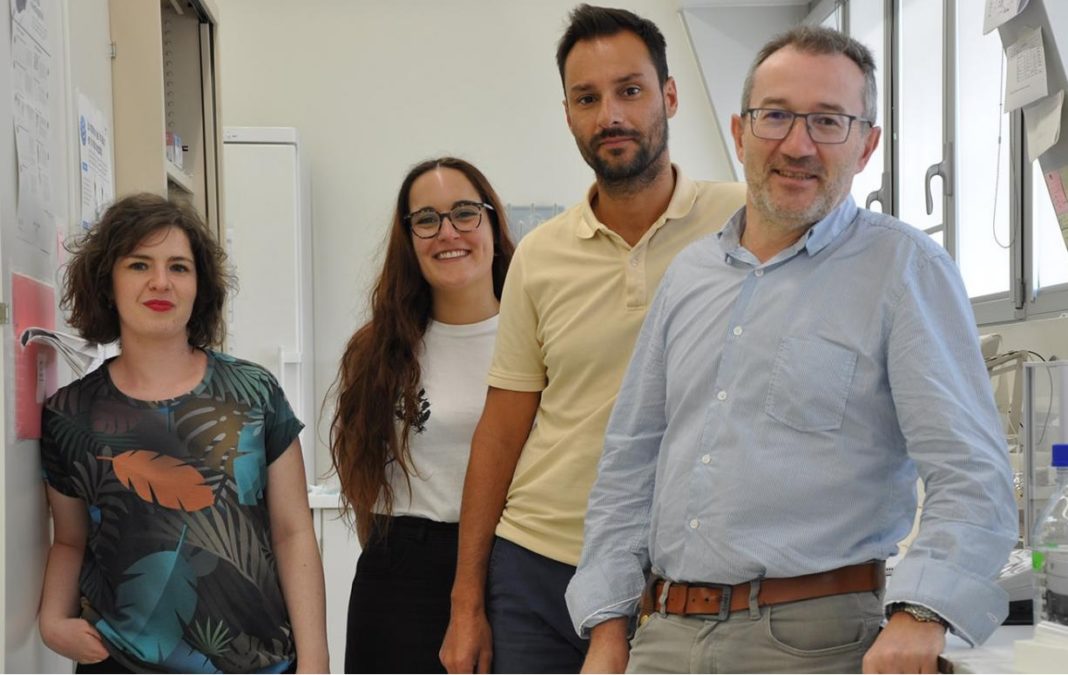  Lola Rueda, Ana Campos, Salvador Herrera e José Antonio Lamas, investigadores do Laboratorio de Neurociencia do Cinbio. Foto: Duvi.