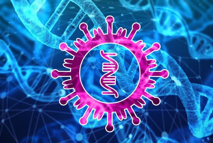 A investigación atopou 'marcas' de adaptación a un virus, especialmente no tecido dos pulmóns, que se produciron arredor de 900 xeracións antes da actual. Imaxe: Pixabay.