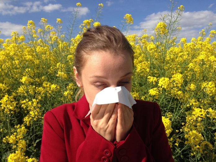 Moitas persoas con alerxia vanse adaptando a determinadas substancias, e poden chegar á idade adulta sen que se produza reactividade fronte a eles. Foto: Pixabay.