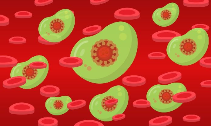 Os anticorpos son só unha das diversas compoñentes implicadas na resposta inmunitaria fronte a patóxenos. Foto: Pixabay.
