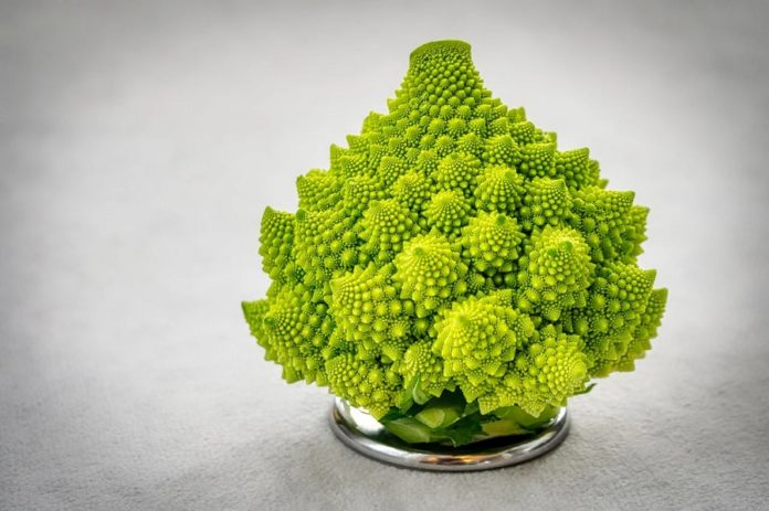 O brócoli romanesco é unha variedade de brásica cunha peculiar forma. Foto: Pixabay.