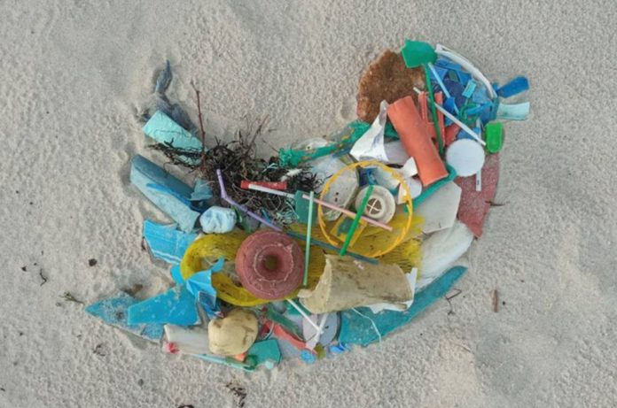O estudo analiza un gran volume de chíos que fan referencia ao problema do lixo mariño. Fonte: IEO.