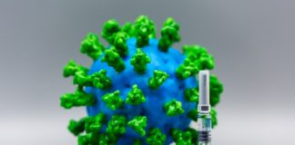 As vacinas incorporan os elementos clave para estimular a inmunidade innata e adaptativa contra os patóxenos. Foto: Pixabay.