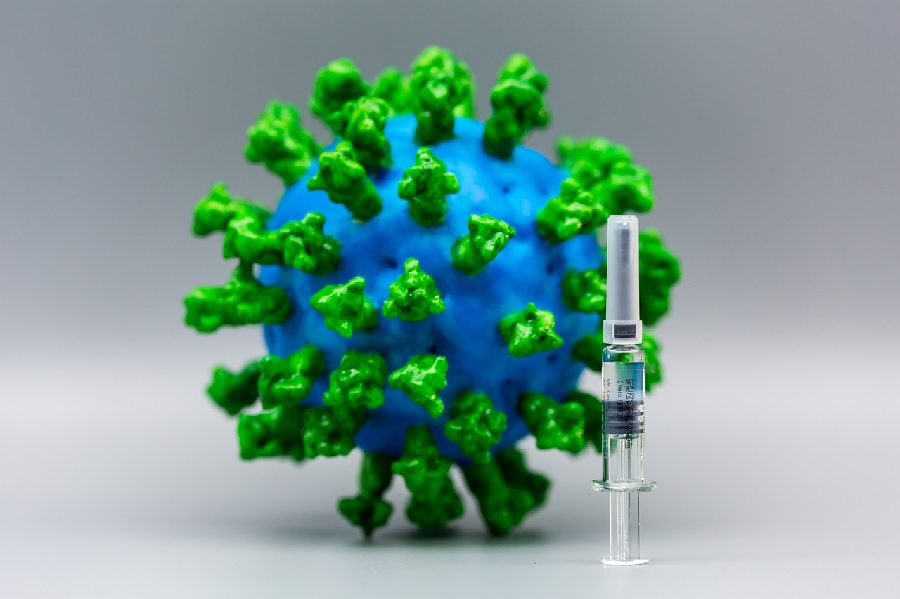 As vacinas incorporan os elementos clave para estimular a inmunidade innata e adaptativa contra os patóxenos. Foto: Pixabay.