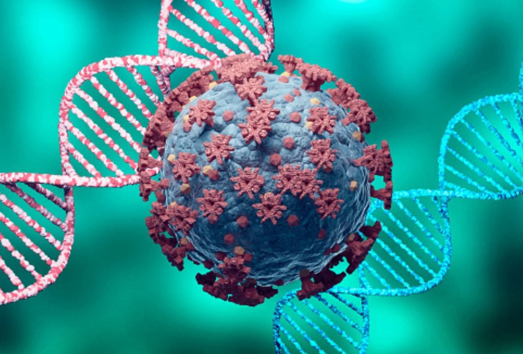 A análise xenómica foi unha nova ferramenta moi relevante para estudar a epidemioloxía do SARS-CoV-2 durante esta pandemia. Fonte: Pixabay.