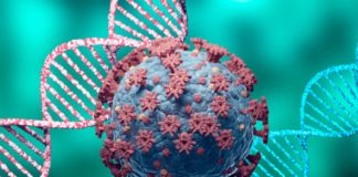 A análise xenómica foi unha nova ferramenta moi relevante para estudar a epidemioloxía do SARS-CoV-2 durante esta pandemia. Fonte: Pixabay.