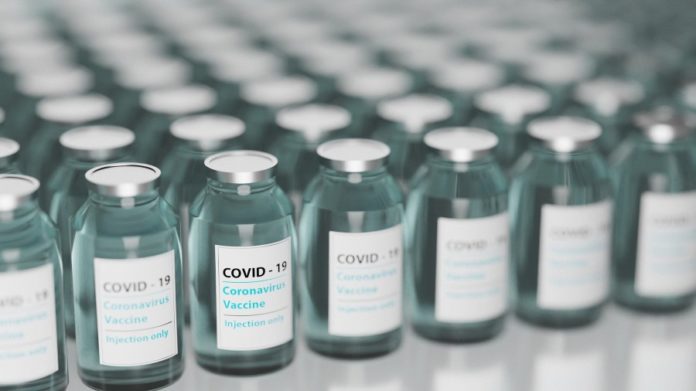 Doses da vacina contra o coronavirus.