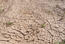 As secas son un desastre natural de tipo extensivo.