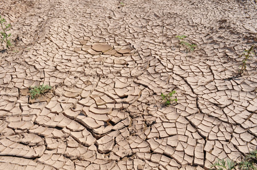 As secas son un desastre natural de tipo extensivo. 