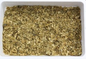 Algas empregadas para a alimentación dos coellos. Foto: USC