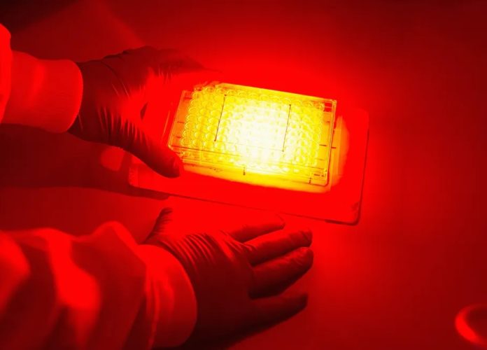 A terapia fotodinámica leva décadas usándose nalgúns tumores de pel e superficiais. Foto: Shutterstock / CCISUL.