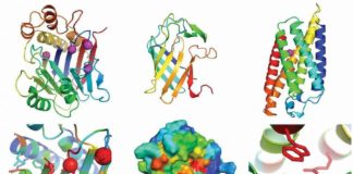Modelos de estrutura en 3D de distintas proteínas polo algoritmo RoseTTAFold. foto: Minkyung Baek & AAAS
